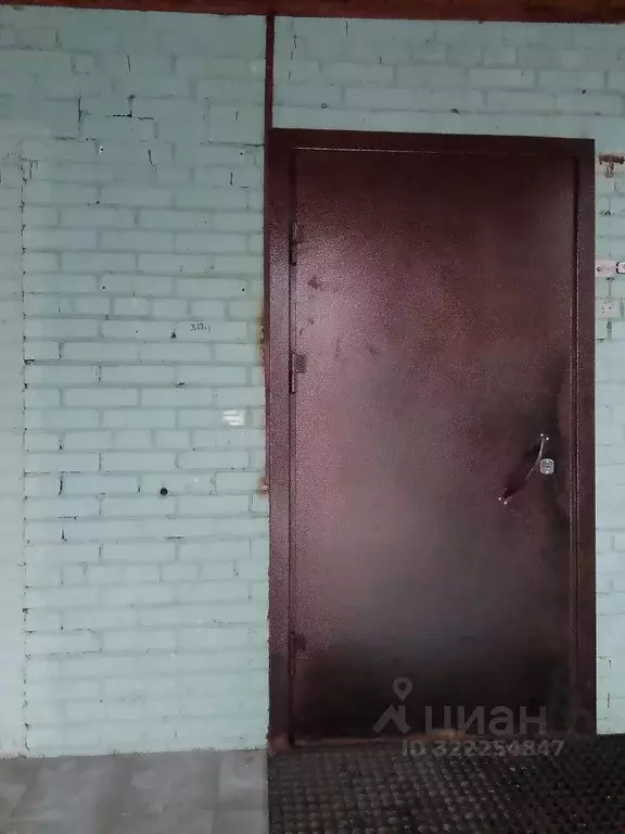 Помещение свободного назначения в Ленинградская область, Кингисепп ... - Фото 1