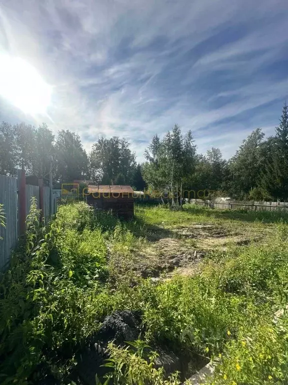 Участок в Новосибирская область, Новосибирск Красный просп. (5.5 сот.) - Фото 2