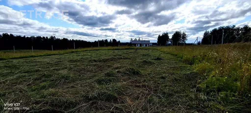 Участок в Новосибирская область, Новосибирский район, Раздольненский ... - Фото 1