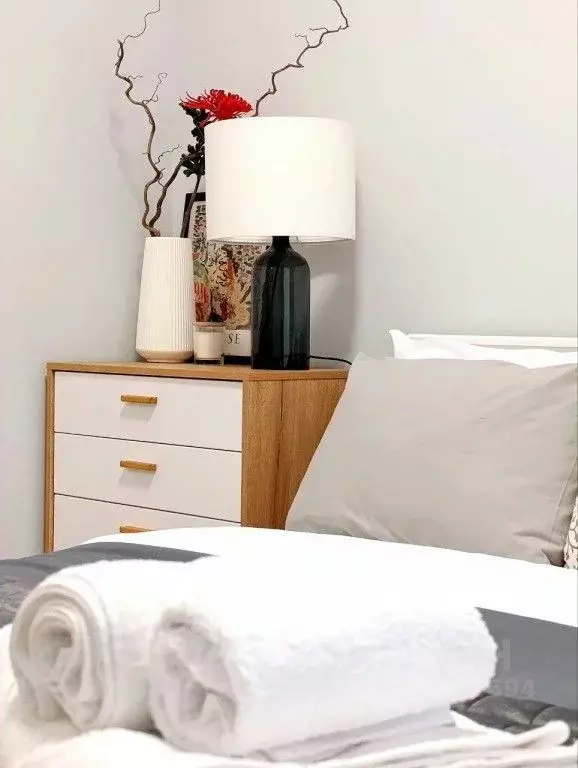 1-к кв. Санкт-Петербург Аптекарский просп., 5 (46.0 м) - Фото 1