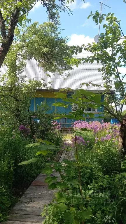 Участок в Ленинградская область, Гатчинский муниципальный округ, Чаща ... - Фото 2