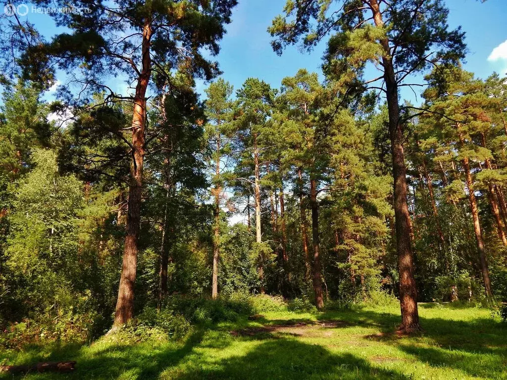 Участок в посёлок Гагарский, загородный комплекс Лайф, 4-я Парковая ... - Фото 0