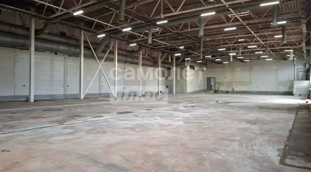 Производственное помещение в Московская область, Пушкинский городской ... - Фото 1