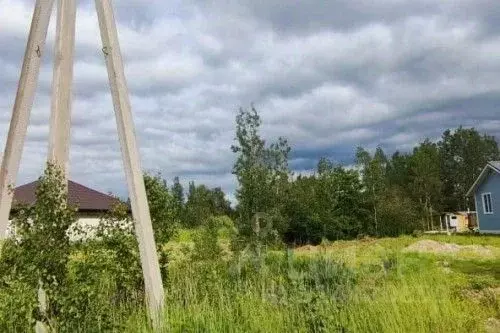 Участок в Новгородская область, Новгородский район, Ермолинское с/пос, ... - Фото 1