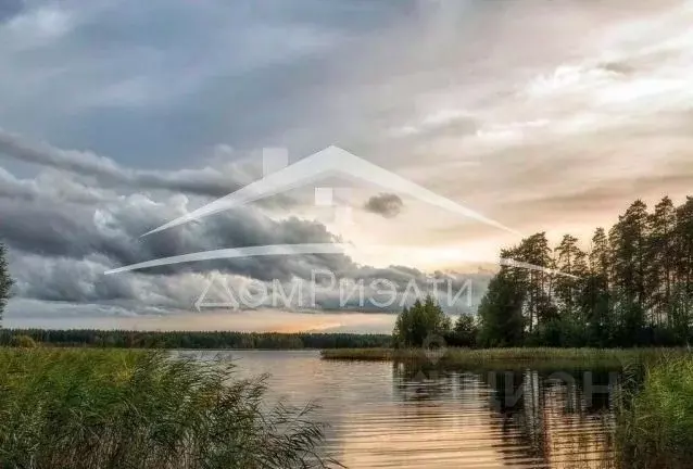 Участок в Нижегородская область, Богородский район, д. Инютино ... - Фото 0