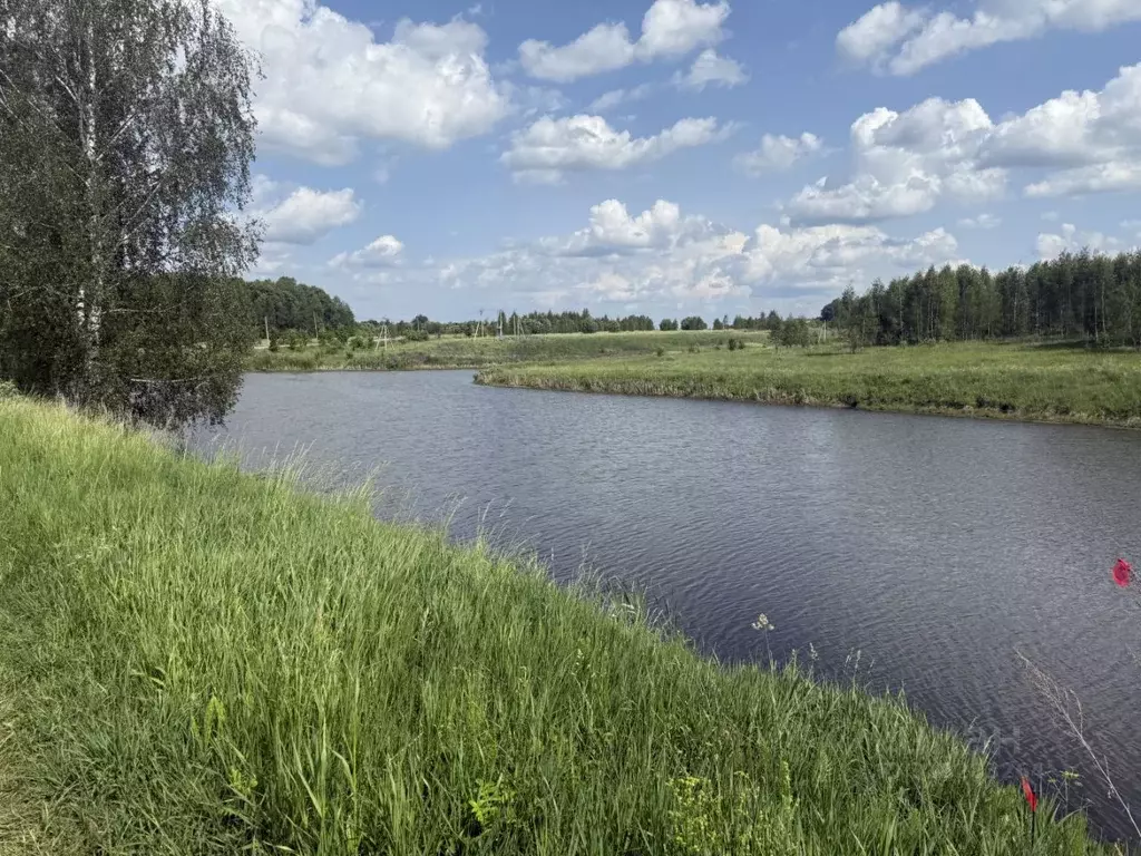 Участок в Тульская область, Ясногорский район, Теляковское с/пос, д. ... - Фото 2