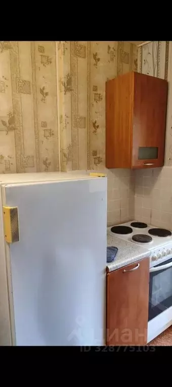 Студия Пермский край, Пермь Торговая ул., 8 (20.0 м) - Фото 2