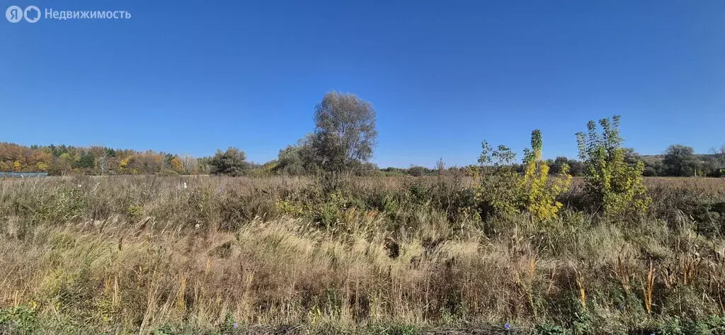 Участок в Бузулукский район, Сухореченский сельсовет, посёлок Мичурино ... - Фото 2