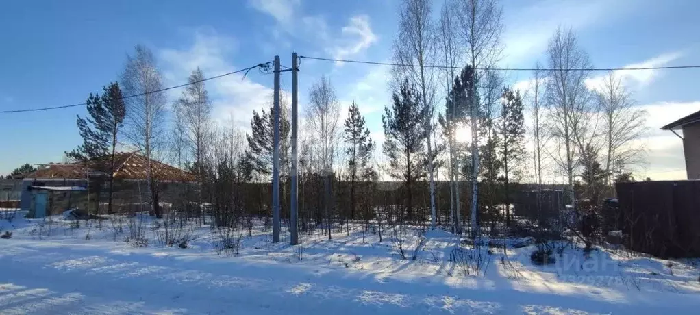 Участок в Свердловская область, Талица ул. Березовая (12.67 сот.) - Фото 1