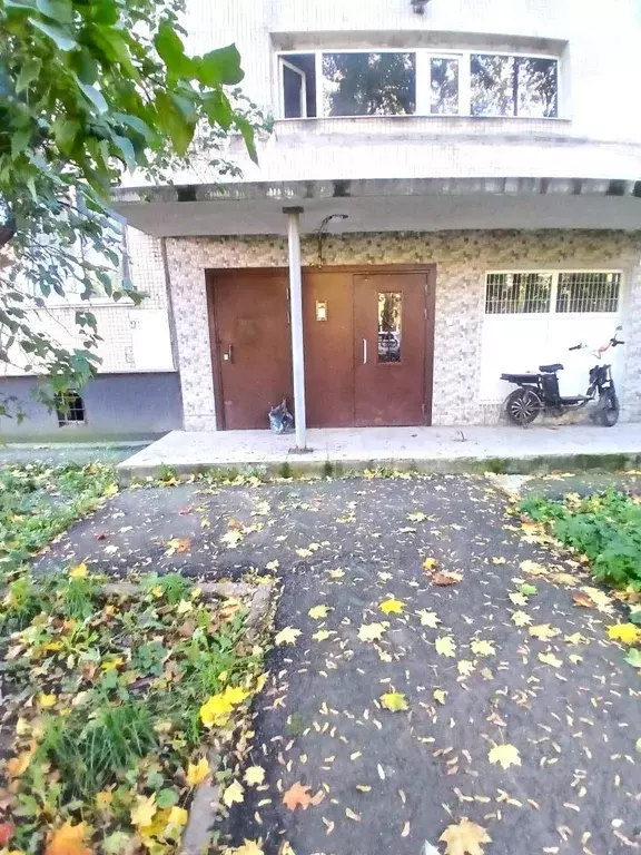 1-к кв. Санкт-Петербург Белградская ул., 28К1 (29.1 м) - Фото 2