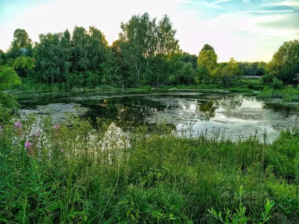 Участок в Ярославская область, Переславль-Залесский городской округ, ... - Фото 0