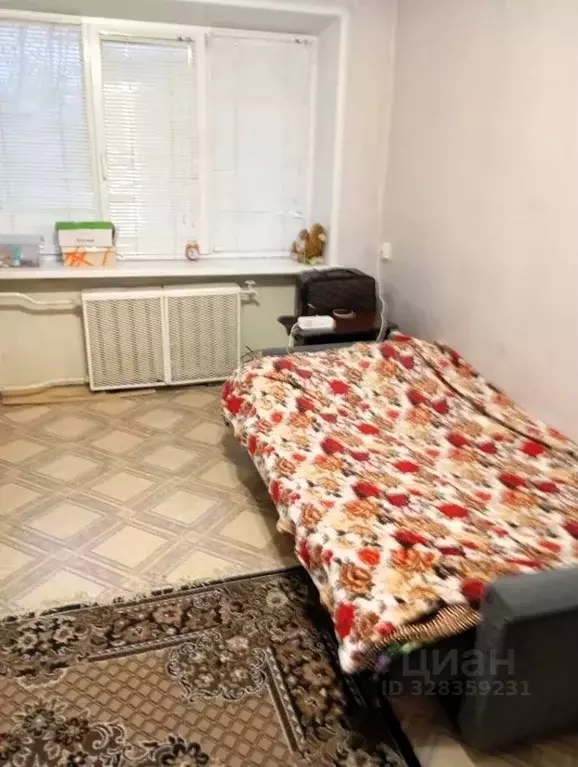 1-к кв. Московская область, Павлово-Посадский городской округ, д. ... - Фото 2