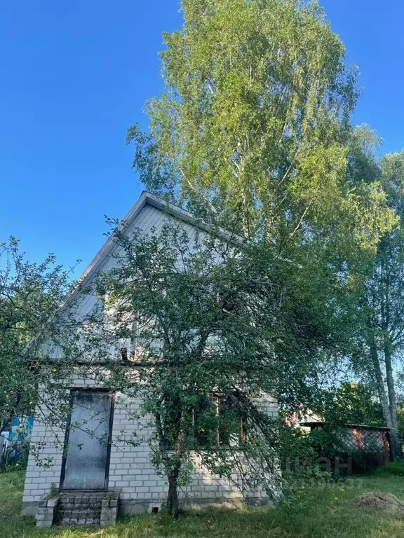 Дом в Псковская область, Опочецкий муниципальный округ  (52 м) - Фото 2