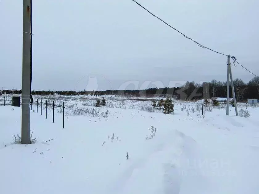 Участок в Тюменская область, Нижнетавдинский район, Здоровье-3 СТ  ... - Фото 1