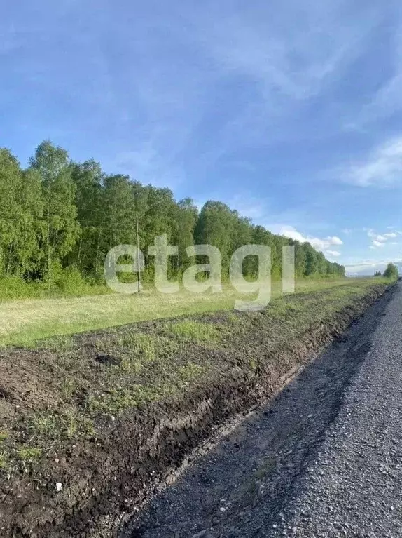 Участок в Красноярский край, Минусинский муниципальный округ, СН ... - Фото 1