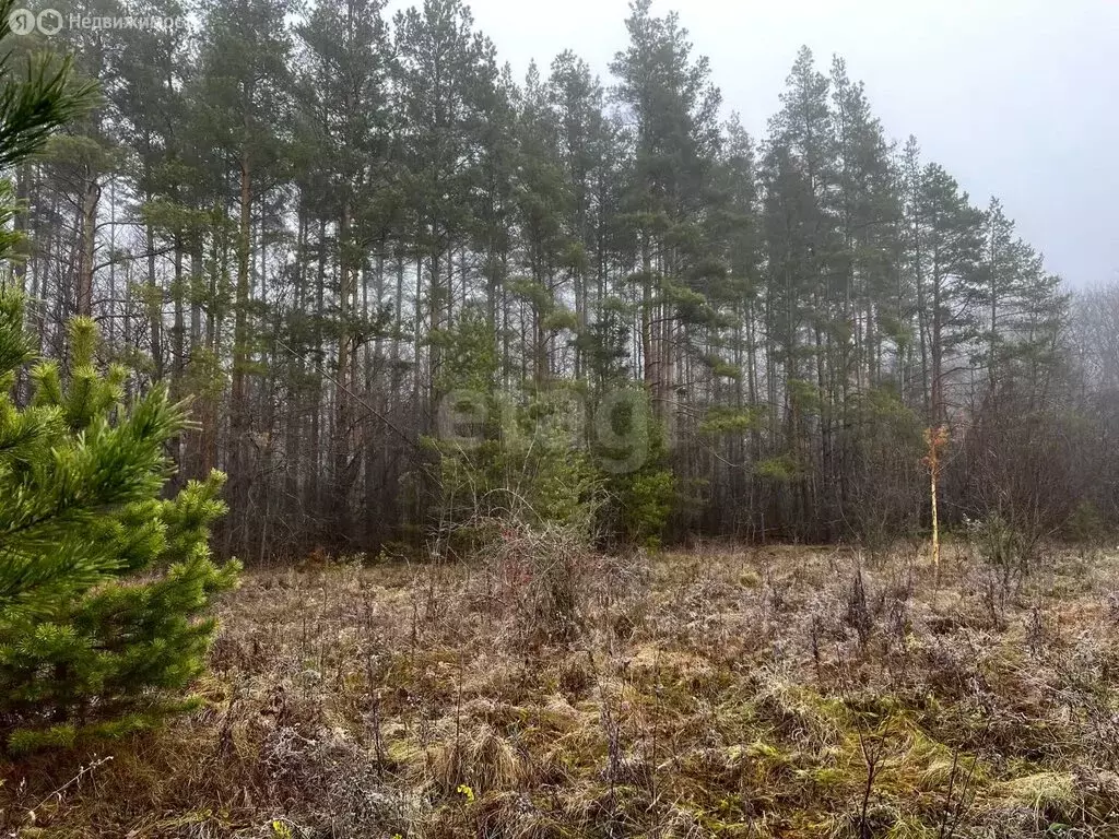Участок в Тамбовский муниципальный округ, село Большая Липовица (20 м) - Фото 2