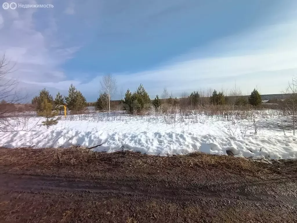 Участок в Верхняя Салда, территория Совхоз Верхне-Салдинский (11 м) - Фото 2