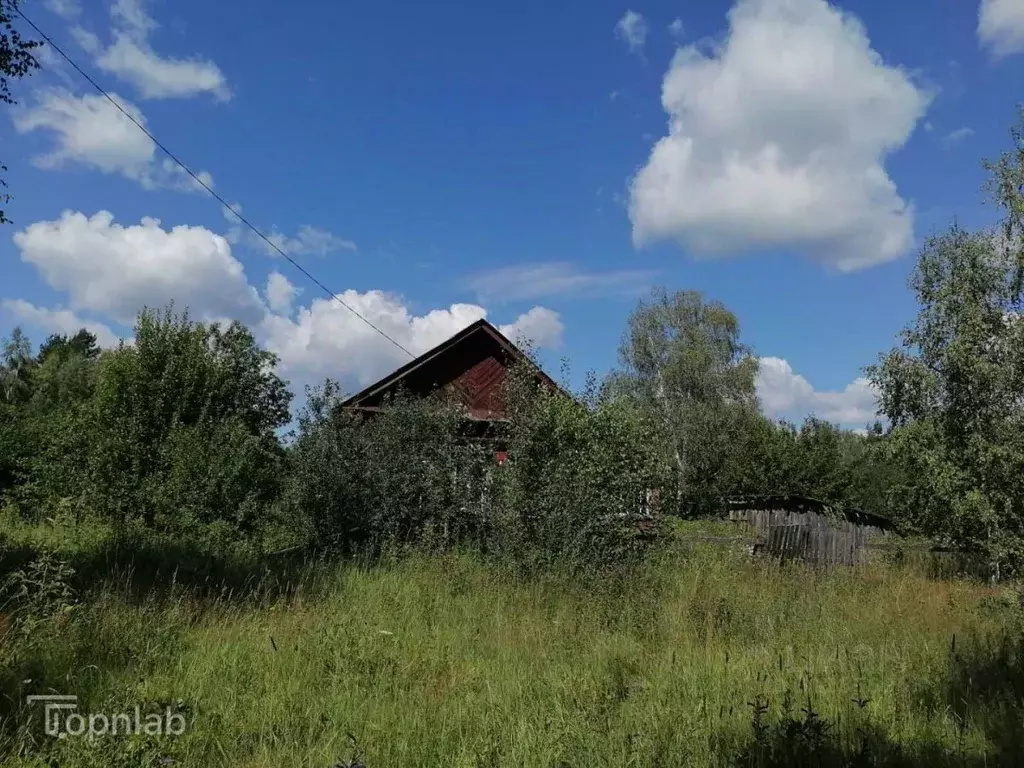 Участок в Владимирская область, Судогодский район, Мошокское ... - Фото 0