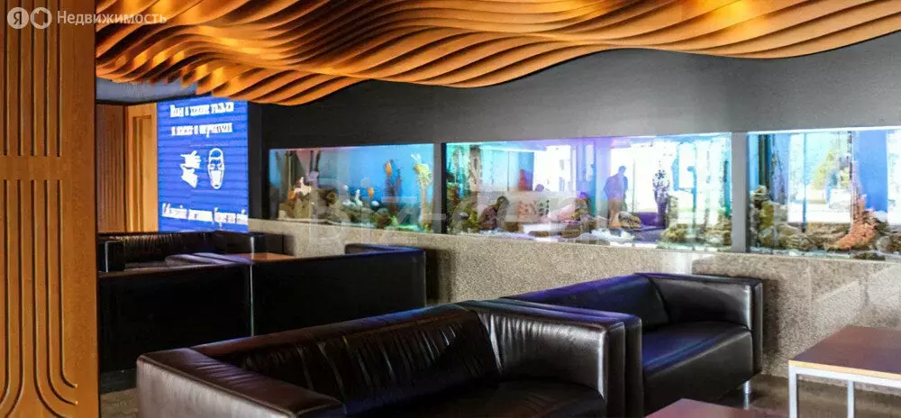 Офис (115.5 м) - Фото 1