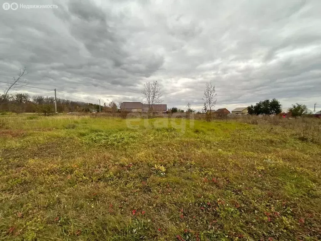 Участок в Прохоровский район, Призначенское сельское поселение, село ... - Фото 1