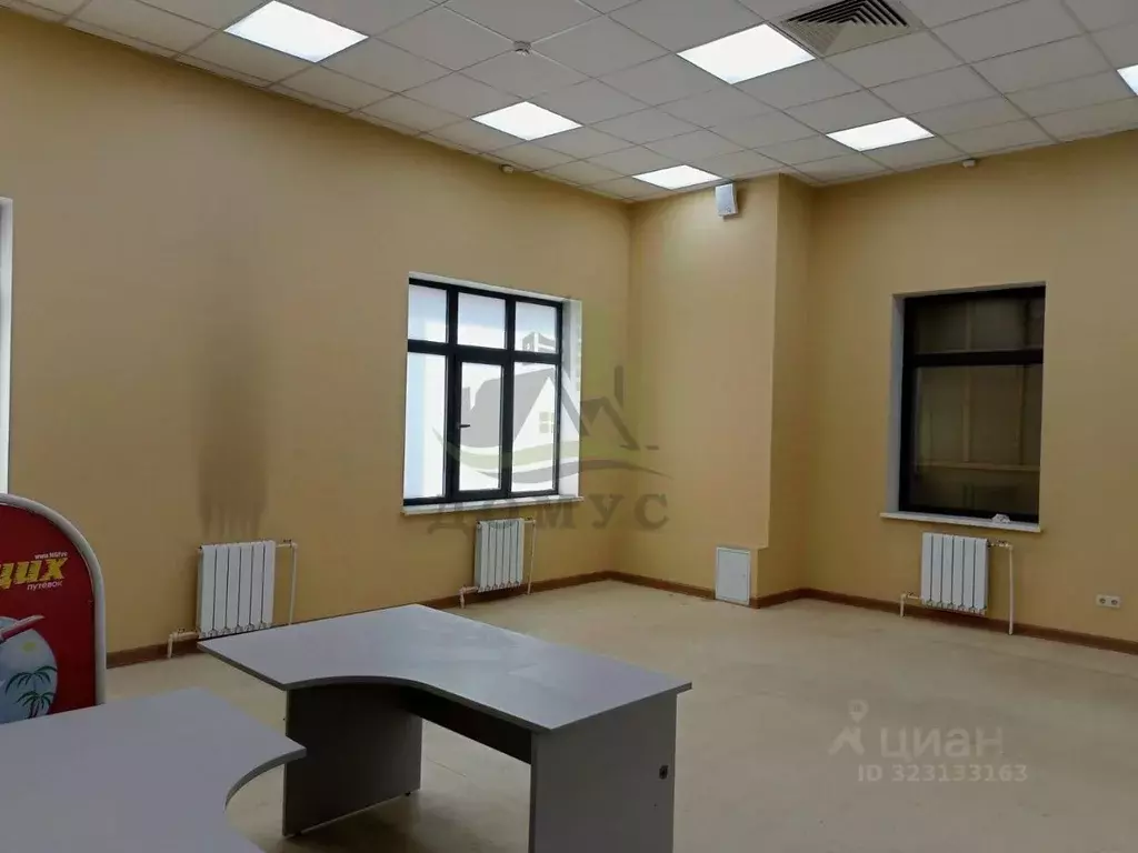 Торговая площадь в Московская область, Раменский муниципальный округ, ... - Фото 1