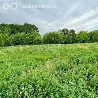 Участок в Юго-Камский, квартал Заюг (12 м) - Фото 1