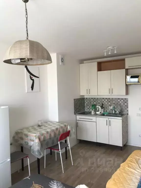 Студия Санкт-Петербург дор. Муринская, 25к3 (24.0 м) - Фото 1