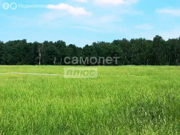 Участок в Тверская область, Конаковский муниципальный округ, ... - Фото 2