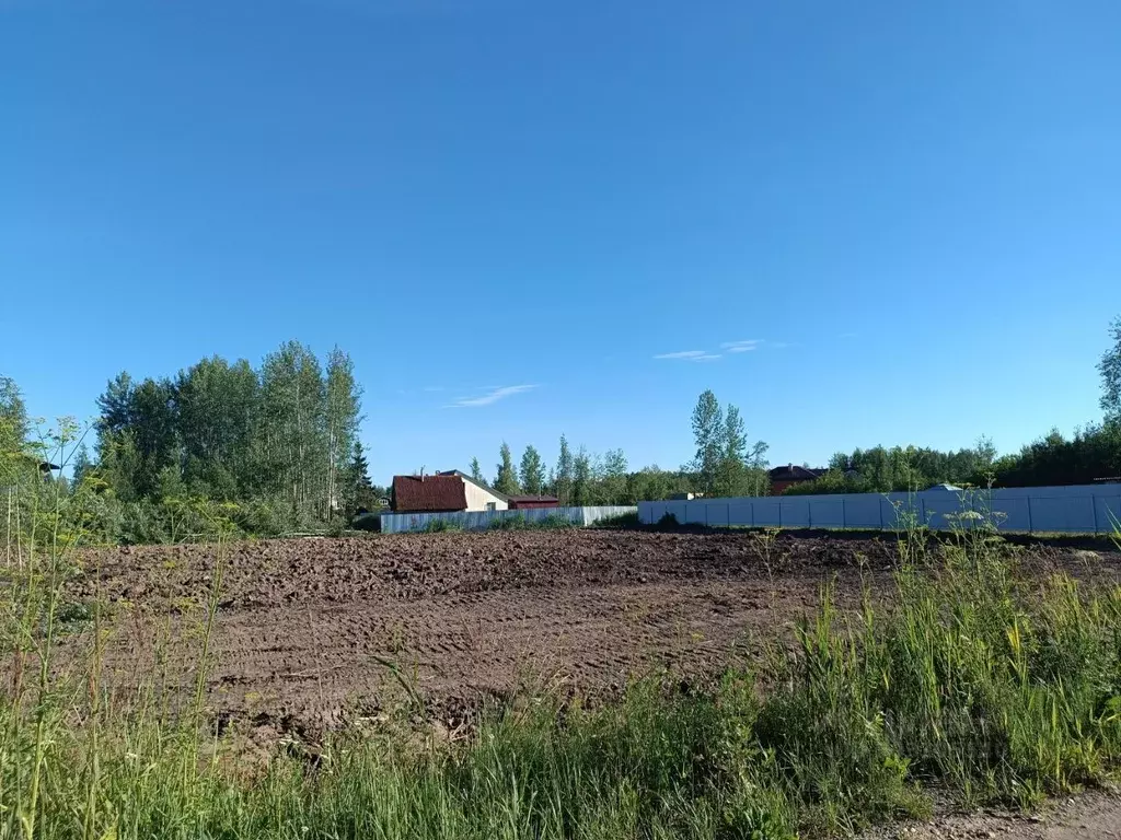 Участок в Новгородская область, Новгородский район, Ермолинское с/пос, ... - Фото 1