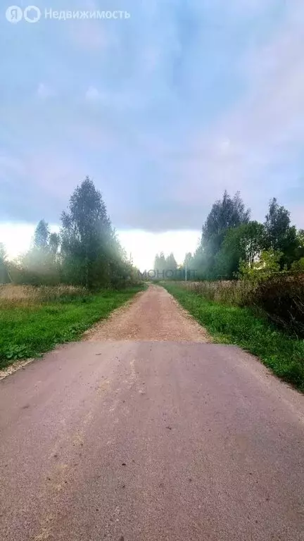 Участок в Оршанка, Берёзовая улица, 16 (15 м) - Фото 1
