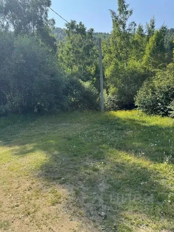 Участок в Иркутская область, Иркутский муниципальный округ, Листвянка ... - Фото 2