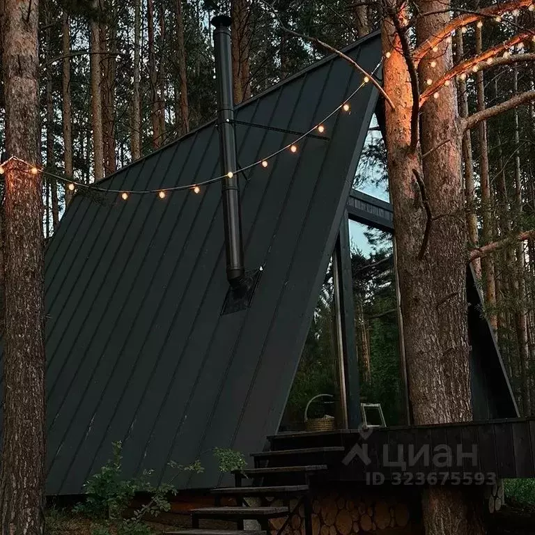 Дом в Красноярский край, Дивногорск городской округ, пос. Манский ул. ... - Фото 1