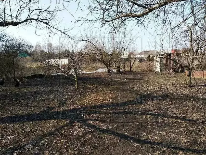 Участок в село Нижний Ольшанец, Центральная улица, 26 (26.47 м) - Фото 1