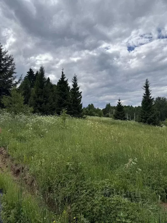 Участок в Московская область, Дмитровский муниципальный округ, пос. ... - Фото 2