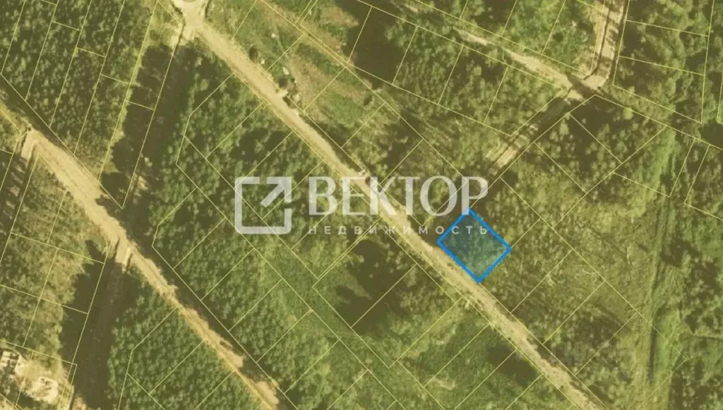 Участок в Ярославская область, Некрасовский муниципальный округ, Малые ... - Фото 2