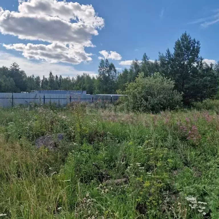 Участок в Тюменская область, Тюменский муниципальный округ, Нефтехимик ... - Фото 1