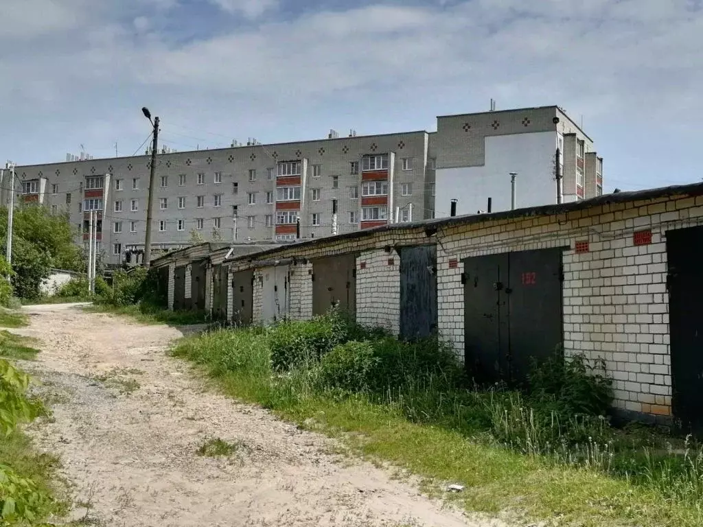 Гараж в Нижегородская область, Павлово пер. Суворова, 16 (18 м) - Фото 0