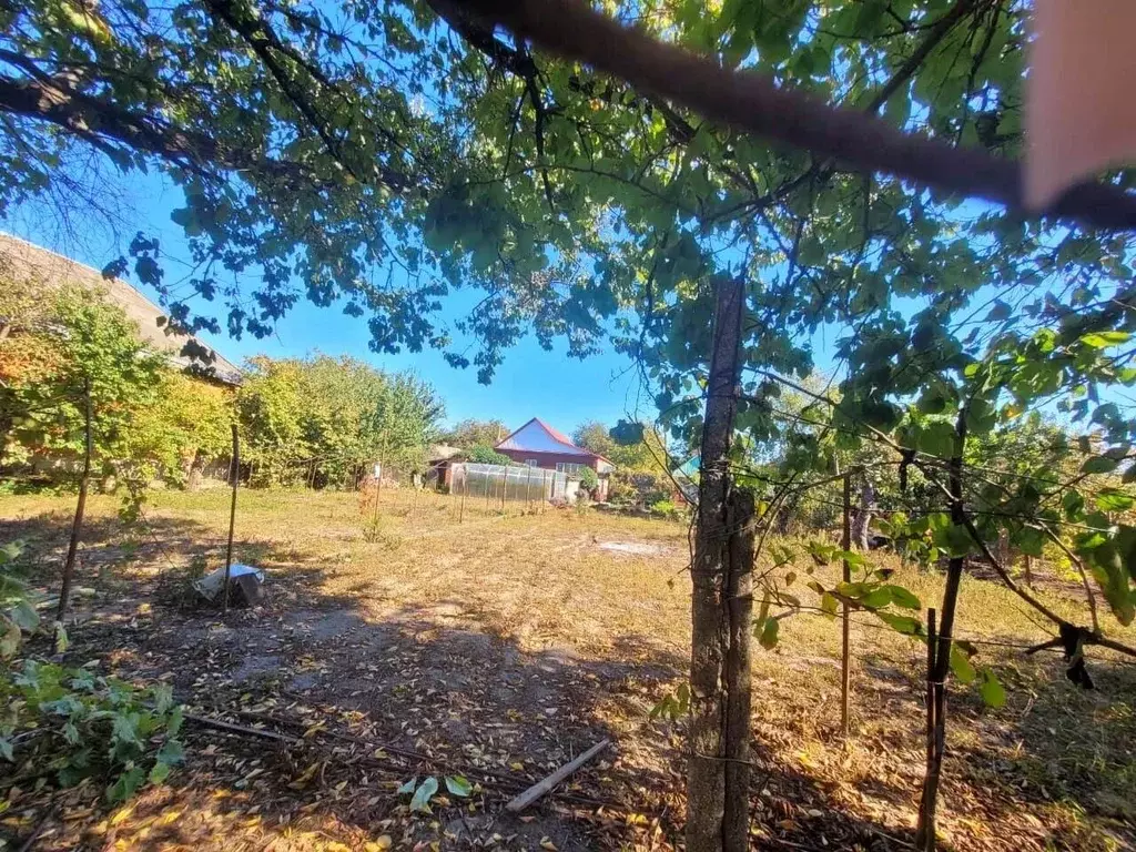 Участок в Краснодарский край, Северская ст-ца ул. Чапаева (6.0 сот.) - Фото 2