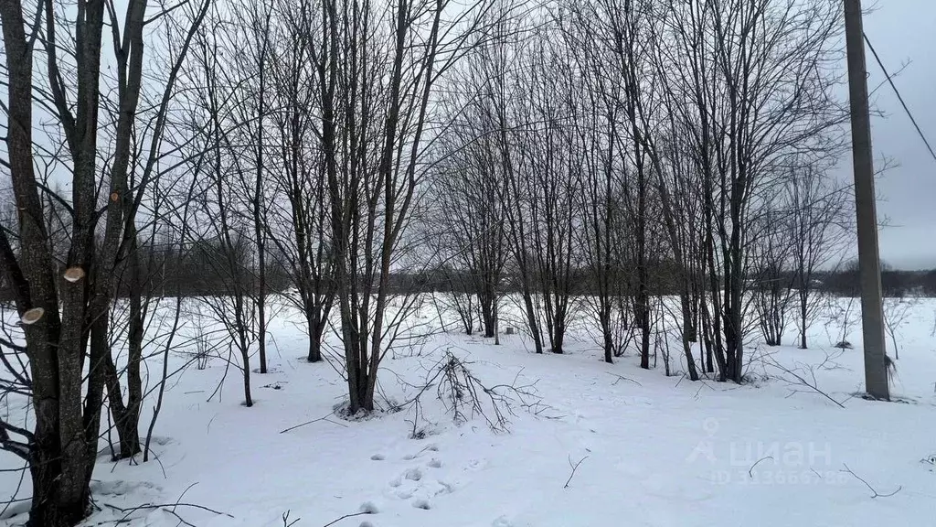 Участок в Московская область, Истра муниципальный округ, д. Назарово  ... - Фото 0