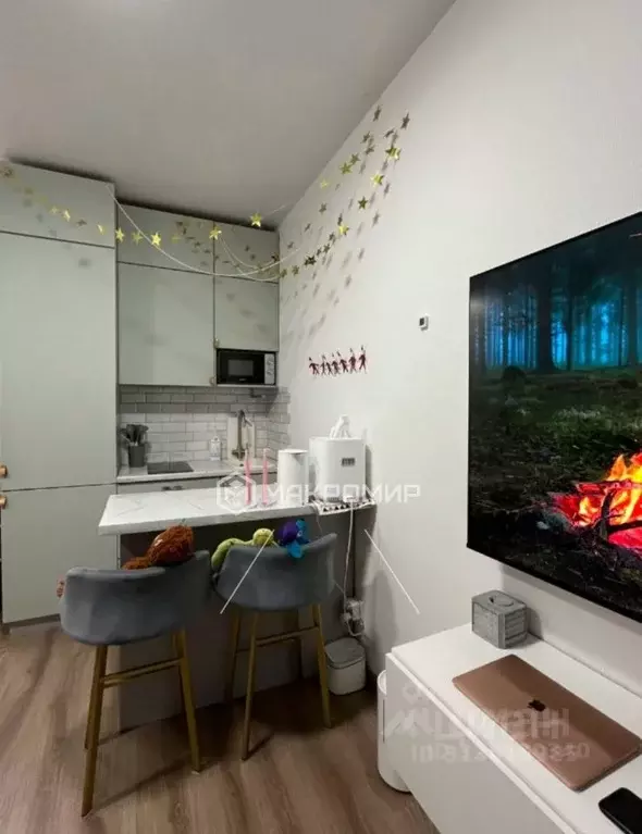 Студия Санкт-Петербург остров Канонерский, 17 (20.8 м) - Фото 0