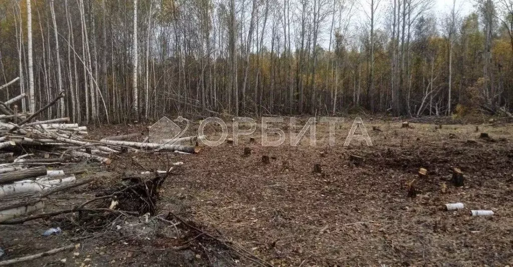 Участок в Тюменская область, Нижнетавдинский муниципальный округ, ... - Фото 2