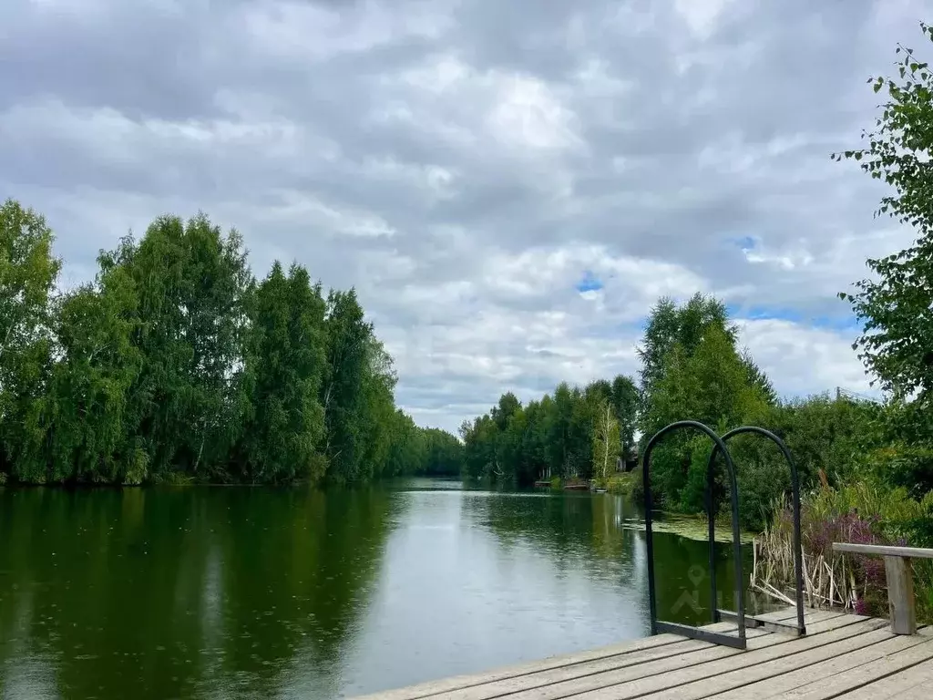 Участок в Новосибирская область, Новосибирский район, Кудряшовский ... - Фото 1