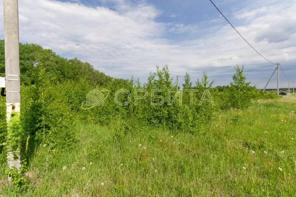 Участок в Тюменская область, Тюменский район, с. Кулига  (7.0 сот.) - Фото 0
