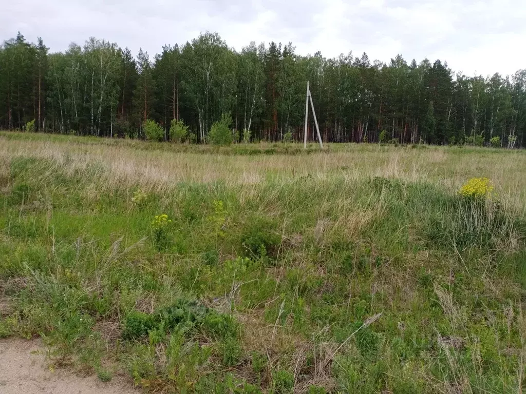 Участок в Свердловская область, Екатеринбург Русь садоводческое ... - Фото 1