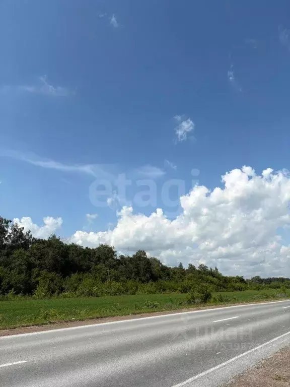 Участок в Башкортостан, Стерлитамакский район, Красноярский сельсовет, ... - Фото 2