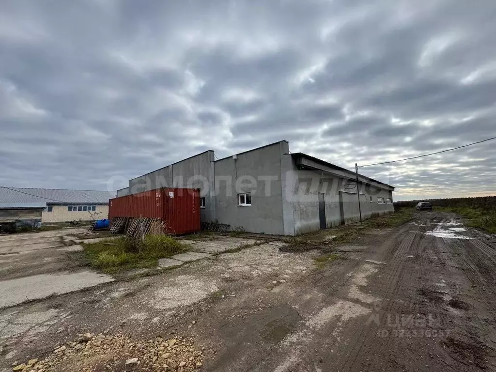 Помещение свободного назначения в Московская область, Наро-Фоминский ... - Фото 1