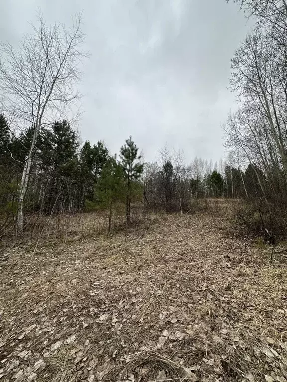 Участок в Иркутская область, Иркутский муниципальный округ, Мечта ДНТ ... - Фото 0