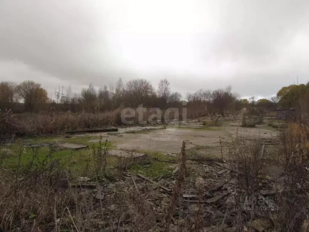 Участок в Вологодская область, Череповецкий район, д. Горка ... - Фото 2