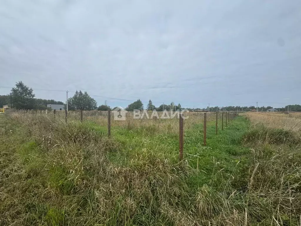 Участок в Владимирская область, Собинский муниципальный округ, Новое ... - Фото 1