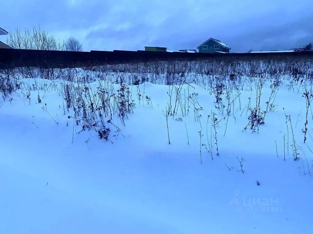 Участок в Московская область, Пушкинский городской округ, д. Василево  ... - Фото 1